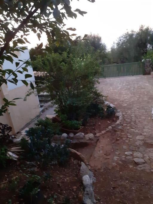A Modern Farmhouse With Big Garden Trápeza 外观 照片