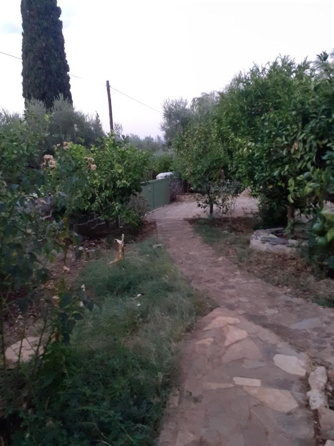 A Modern Farmhouse With Big Garden Trápeza 外观 照片