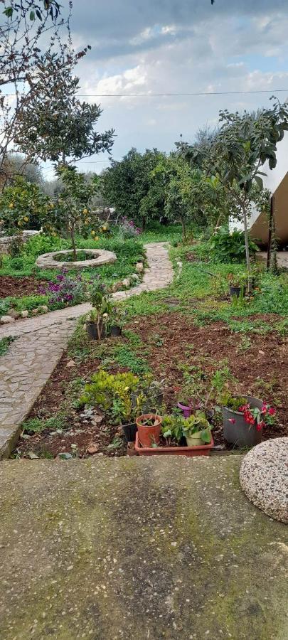 A Modern Farmhouse With Big Garden Trápeza 外观 照片
