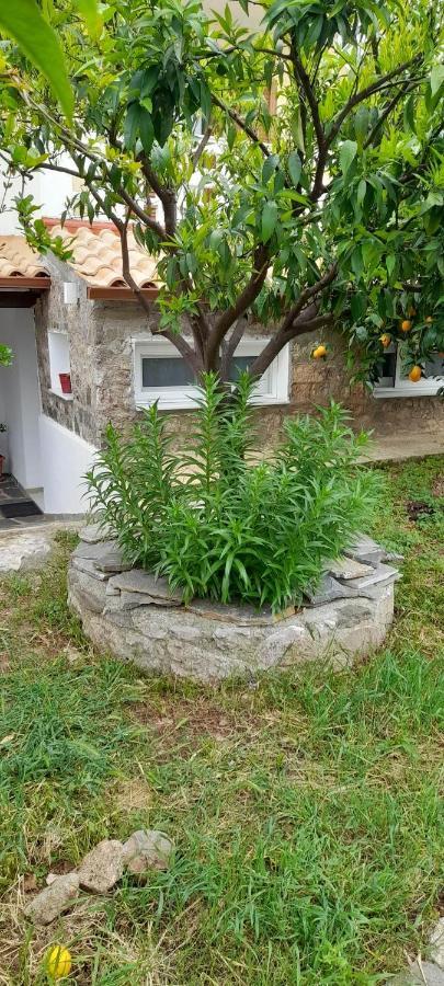 A Modern Farmhouse With Big Garden Trápeza 外观 照片
