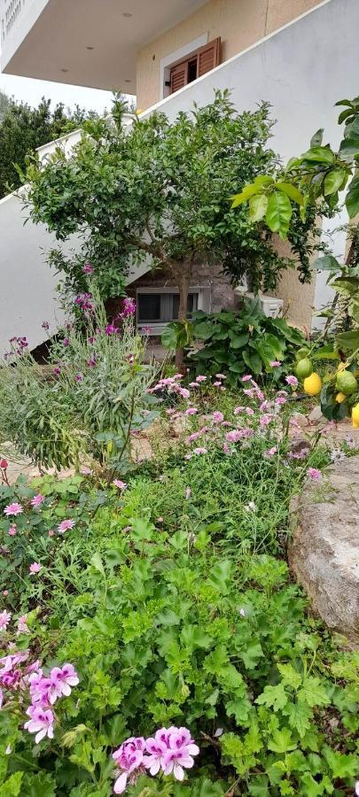 A Modern Farmhouse With Big Garden Trápeza 外观 照片