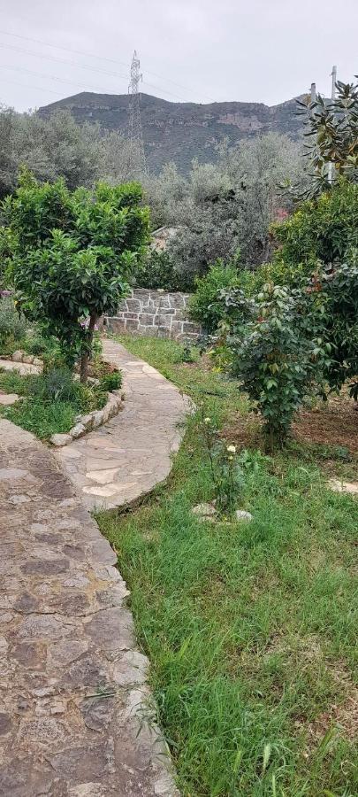 A Modern Farmhouse With Big Garden Trápeza 外观 照片